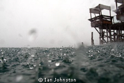 Hey its raining !
I tried lots of ways to capture the fe... by Ian Johnston 
